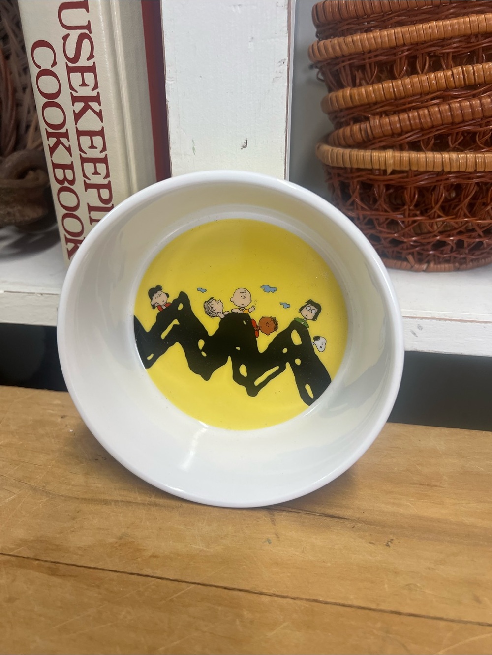 Dog bowl peanuts ceramic dish snoopy Charlie Brown